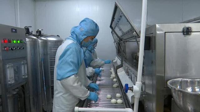 海門農業龍頭企全面復工復產，防疫消毒護航農業生產